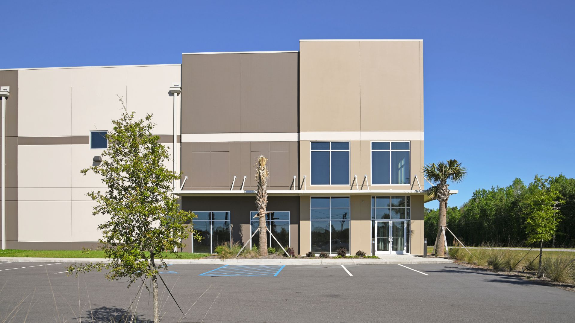 Modern commercial building with large windows and palm trees in parking lot